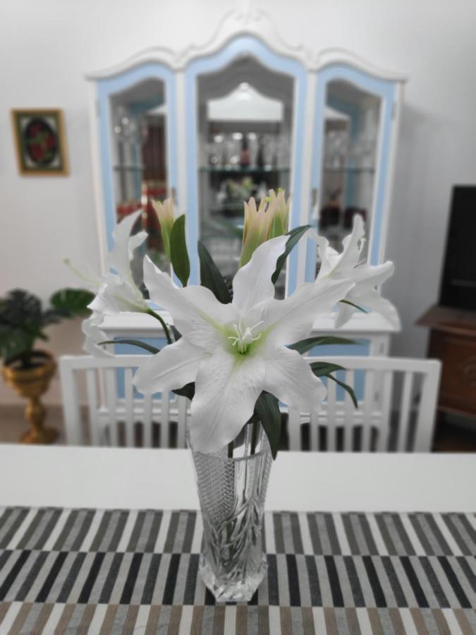 La Orquidea Διαμέρισμα Vega de San Mateo Εξωτερικό φωτογραφία